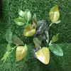 Artificial flowers, artificial lawns, artificial trees, artificial flower artificial lawns, artificial tree plant wall accessories, artificial glue leaves, small trees, artificial small bonsai glue, bonsai artificial plants, artificial plant walls Application Scenario